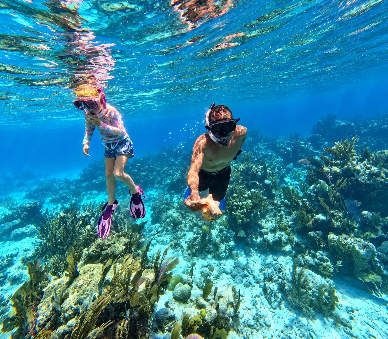 Glover’s Reef Snorkeling