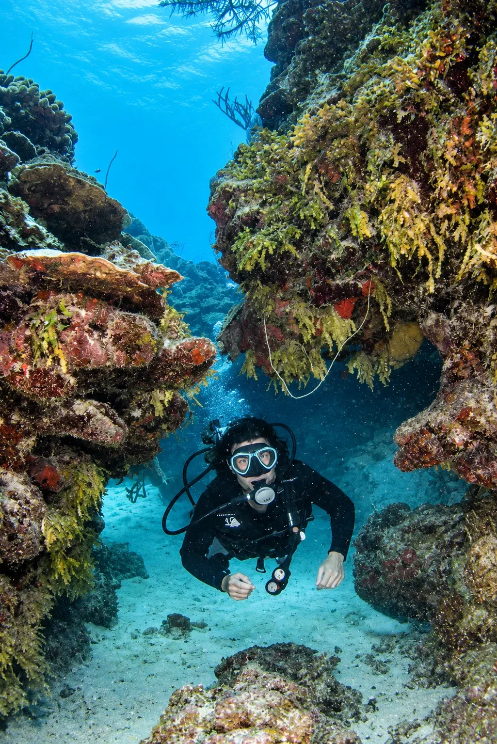Glover’s Reef Diving