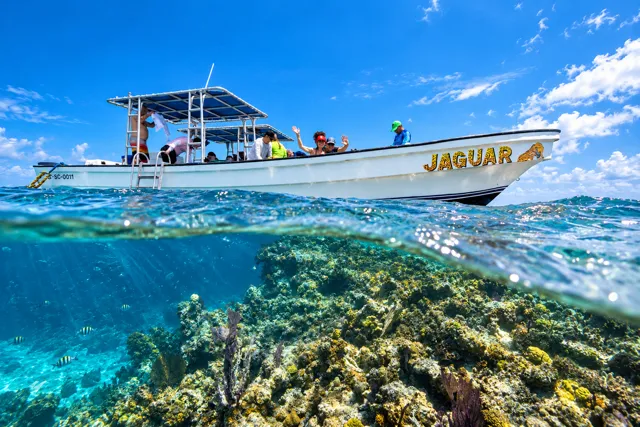 Resort boat floating above the coral reef