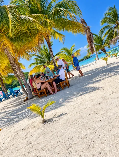 Guests gathered on the palm-lined beach