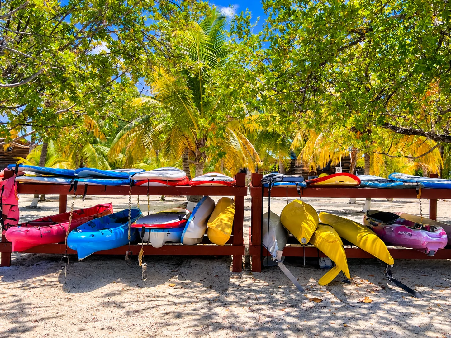 Colorful kayaks stored beneath island palms