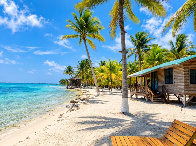 Palm-lined beach beside the island cabanas
