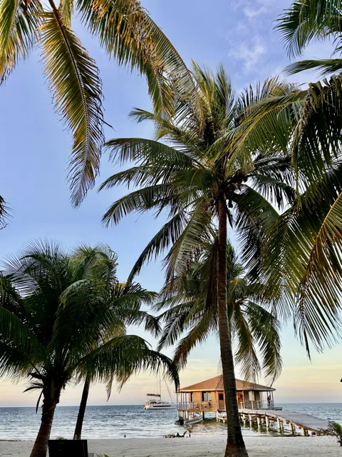 Palm trees sunset — Isla Marisol Resort, Belize