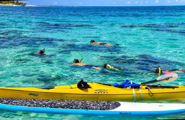 Snorkelers exploring clear water beside kayaks