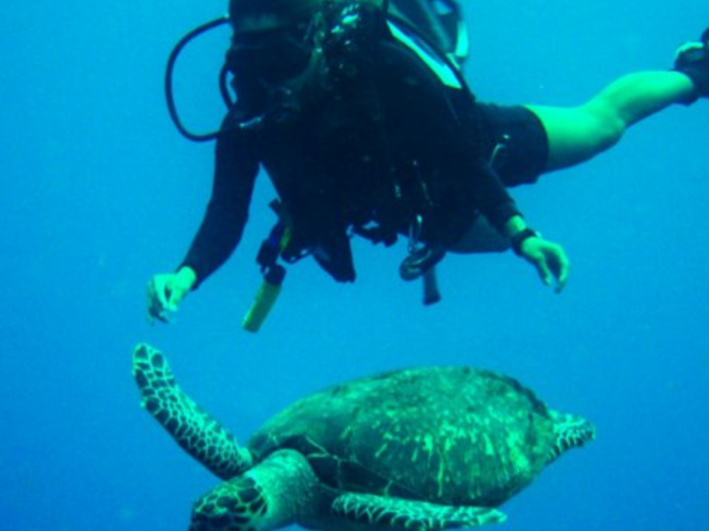 PADI diving course