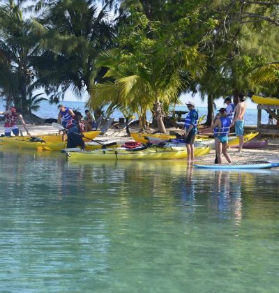 10153894_10152094787383380_1411611653_n